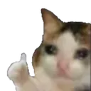 CatThumbsUp