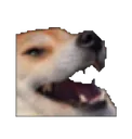 D4_doggo_laugh Discord Emoji