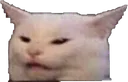 thefuck