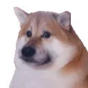 shub