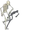 SkeletonPls