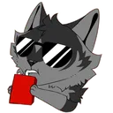 lilysipsunglassescool lilysipsunglassescool