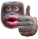 Monke_Like Monke_Like