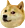 shiba1 shiba1