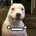 __xd