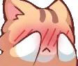 CatBlushy CatBlushy