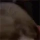 janewayhello