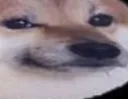 myes myes