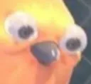WUT