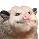 chomk chomk