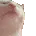 EYvibecat