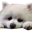 chenzhTired