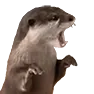 otterL