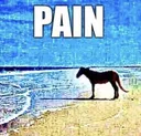 pain