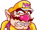 warioEw warioEw