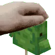 pet_slabfish