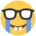 Crying_Nerd