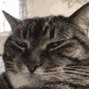 SCunimpressed