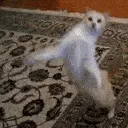 SCdanceFUNKY2