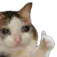 ok