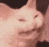 SCWzoom