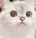 nana Discord emoji