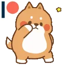 shiba_shake