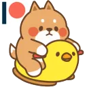 shibaduck
