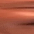 wideKEKWTrash