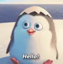stwhelping_helloCutePenguin