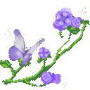 xw_garden6_donotsteal