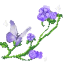 xw_garden6_donotsteal