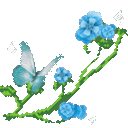 xw_garden5_donotsteal