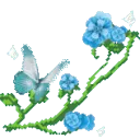 xw_garden5_donotsteal