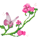 xw_garden4_donotsteal
