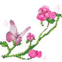 xw_garden4_donotsteal