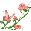xwgarden3_donotsteal