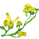 xwgarden2_donotsteal