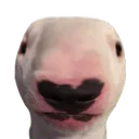 bigbrainwalter