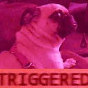 ProperTriggered ProperTriggered