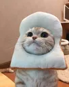 bredcat2 bredcat2