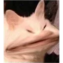 ANGRY