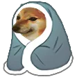 cozycheems