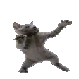 CatDance
