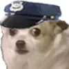 chiwaPolice