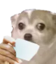 chiwaSip