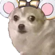 chiwaRat chiwaRat