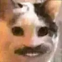 Cathaha Cathaha