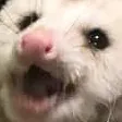 opawwssom