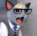 zRaymondCatNOOO